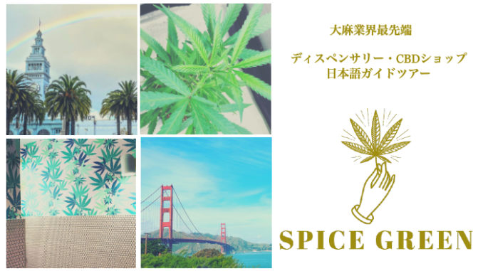 サンフランシスコの日本人向け大麻業界ガイドツアー Thehighclass