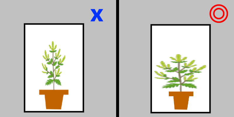 plant_wide_tall